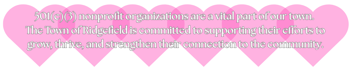 Noprofit orgs description